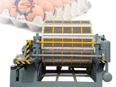 SL-5*8 Egg Tray Machine