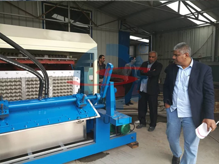 Egg carton machine