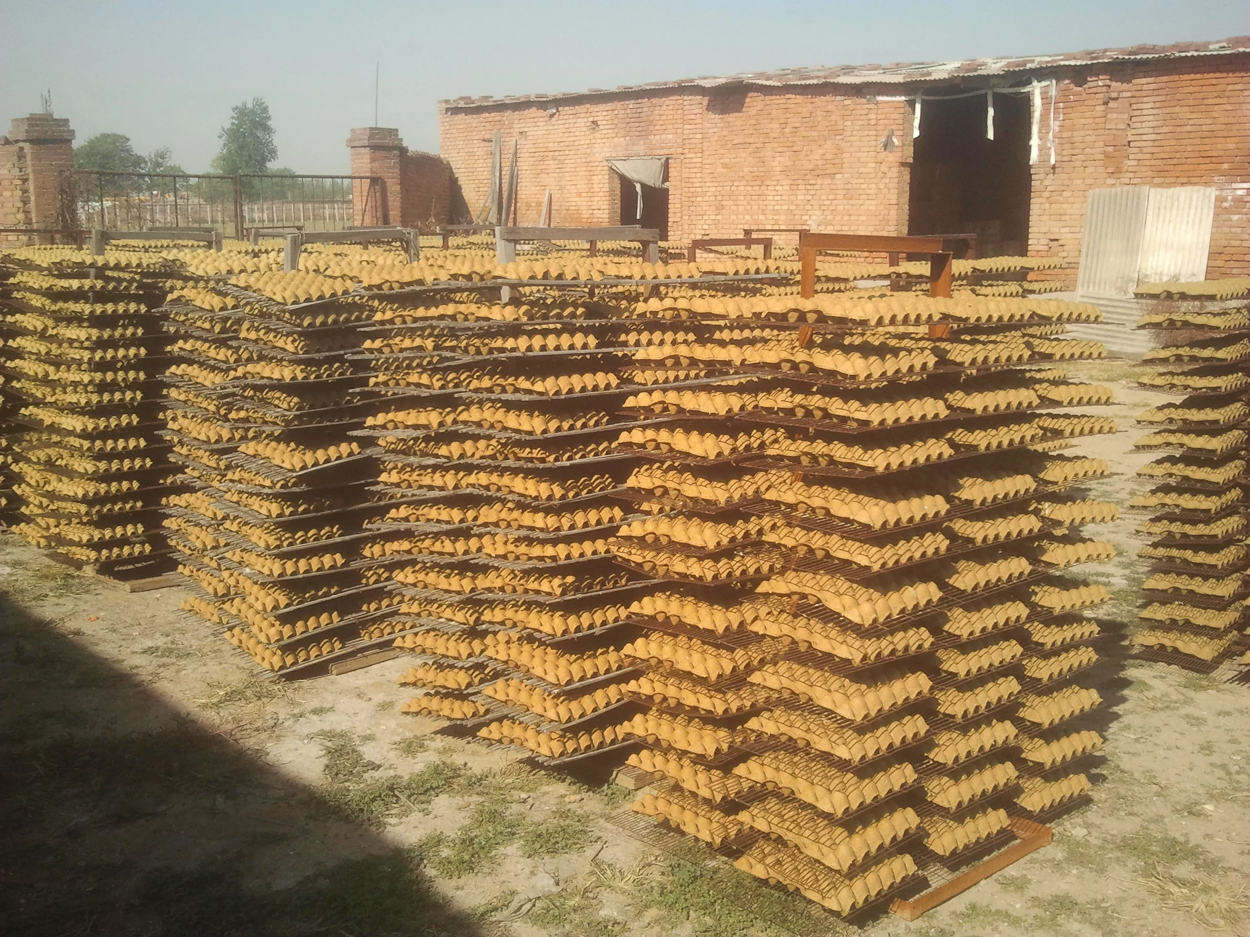 Egg tray drying site