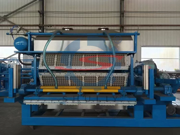 Egg tray making machine for sale