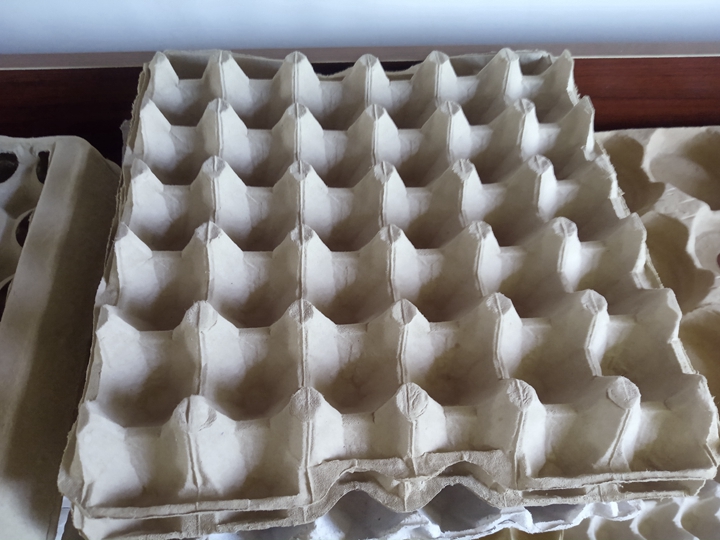 Egg trays