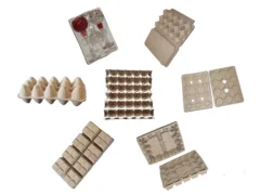 계란 트레이 사업