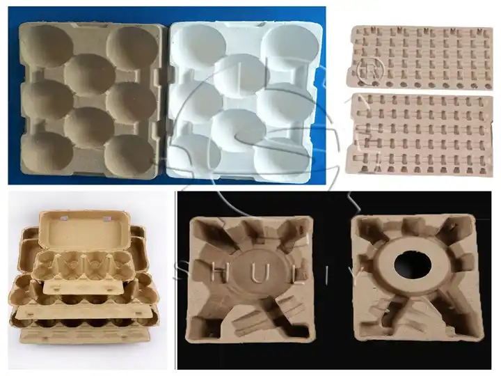 Varios estilos de bandejas de frutas