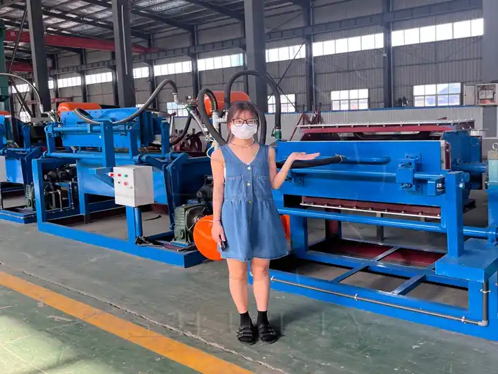 Sl-4-4 egg tray machine